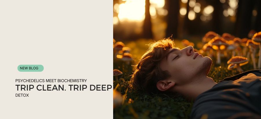 Having a Good Trip Is No Longer a Myth